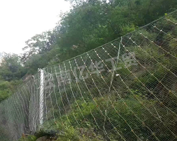 sns被動柔性防護網